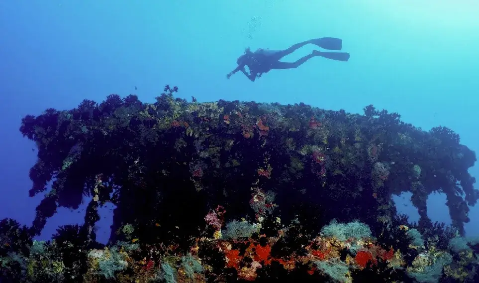 馬爾地夫卡尼富士島度假村Kanifushi，經過PADI認證的潛水中心擁有最先進的設備