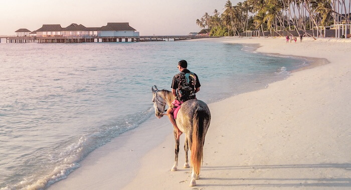 SIYAM WORLD HORSE RANCH 馬場騎馬